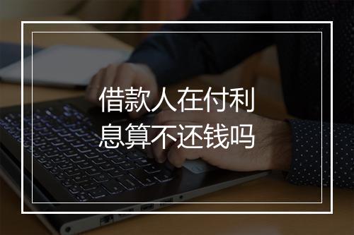 借款人在付利息算不还钱吗