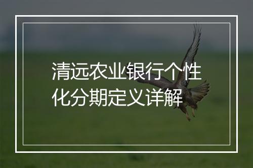 清远农业银行个性化分期定义详解