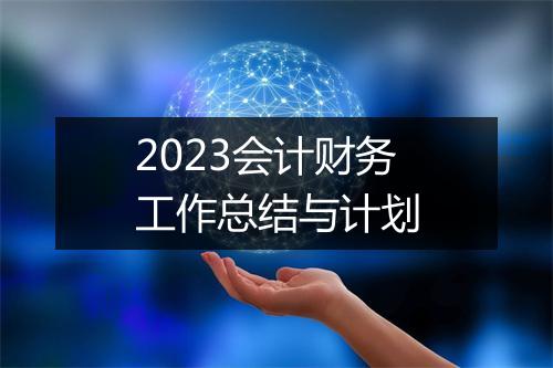 2023会计财务工作总结与计划