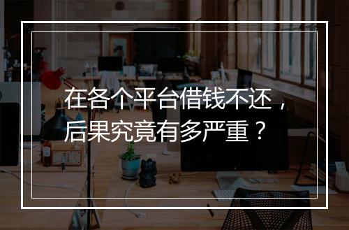 在各个平台借钱不还，后果究竟有多严重？