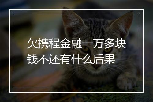 欠携程金融一万多块钱不还有什么后果