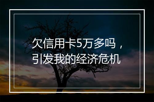 欠信用卡5万多吗，引发我的经济危机