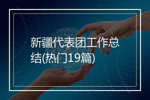 新疆代表团工作总结(热门19篇)