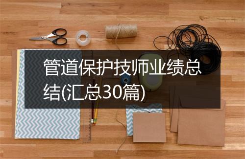 管道保护技师业绩总结(汇总30篇)