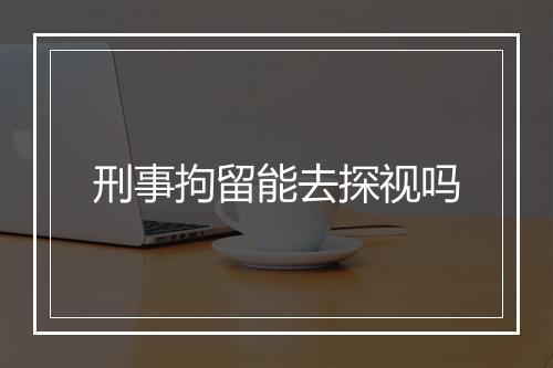 刑事拘留能去探视吗