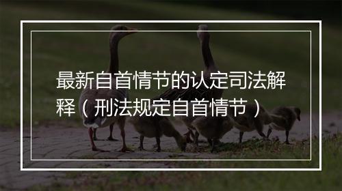 最新自首情节的认定司法解释（刑法规定自首情节）