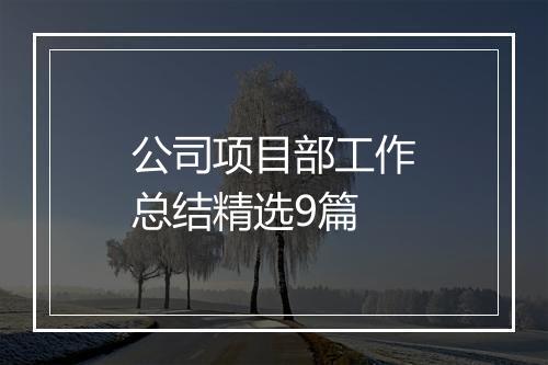 公司项目部工作总结精选9篇