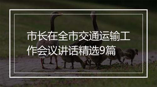 市长在全市交通运输工作会议讲话精选9篇