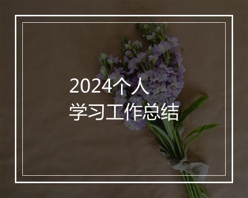2024个人学习工作总结