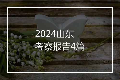 2024山东考察报告4篇