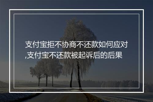 支付宝拒不协商不还款如何应对,支付宝不还款被起诉后的后果
