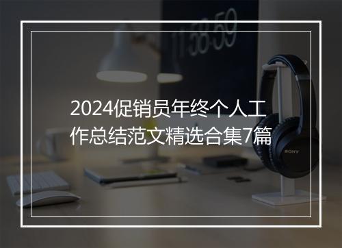 2024促销员年终个人工作总结范文精选合集7篇