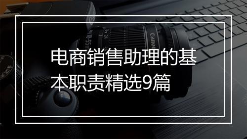电商销售助理的基本职责精选9篇