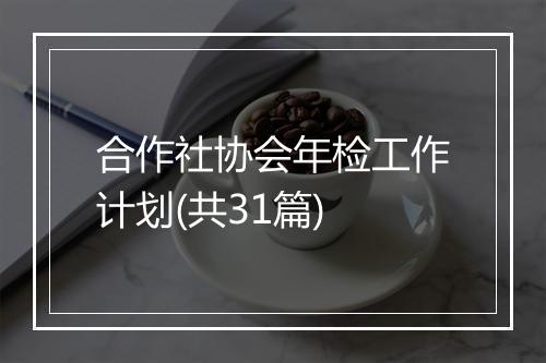 合作社协会年检工作计划(共31篇)