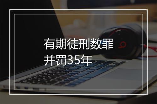 有期徒刑数罪并罚35年