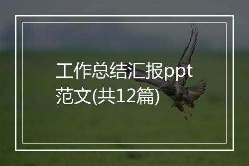 工作总结汇报ppt范文(共12篇)