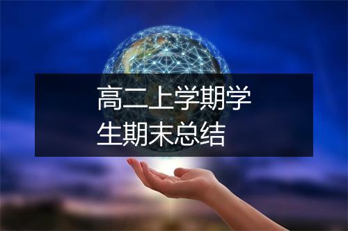 高二上学期学生期末总结