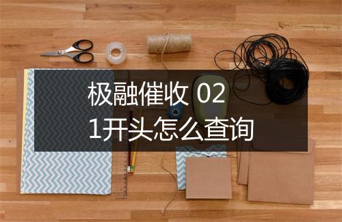 极融催收 021开头怎么查询