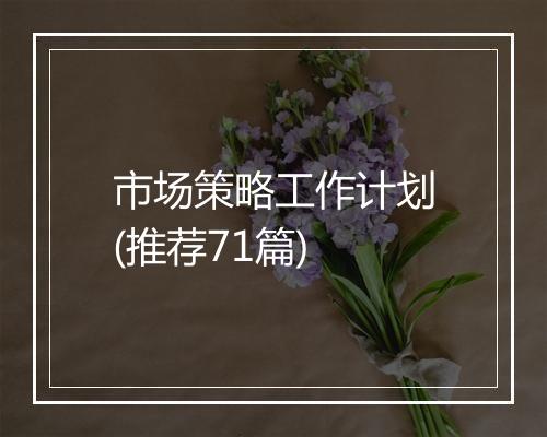 市场策略工作计划(推荐71篇)