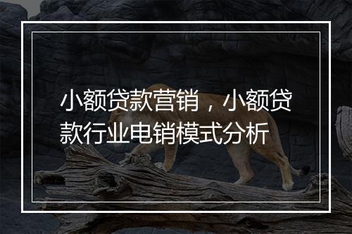 小额贷款营销，小额贷款行业电销模式分析