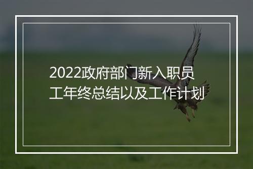 2022政府部门新入职员工年终总结以及工作计划