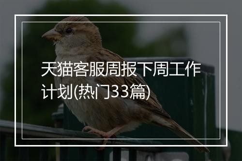 天猫客服周报下周工作计划(热门33篇)