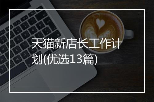 天猫新店长工作计划(优选13篇)