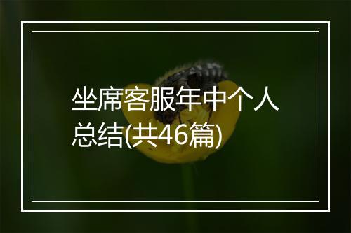 坐席客服年中个人总结(共46篇)