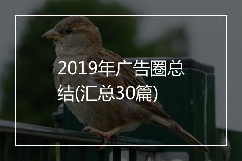 2019年广告圈总结(汇总30篇)