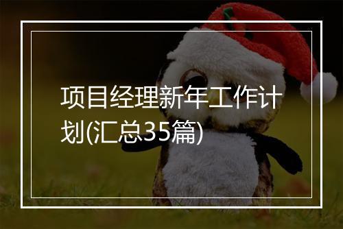 项目经理新年工作计划(汇总35篇)