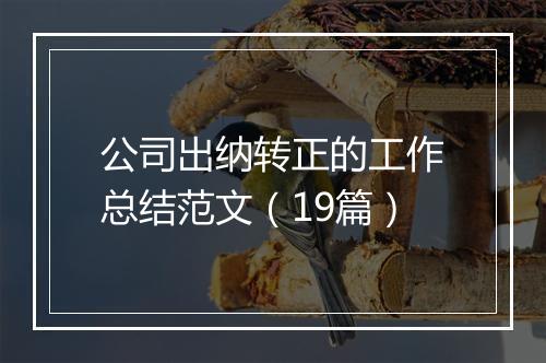 公司出纳转正的工作总结范文（19篇）