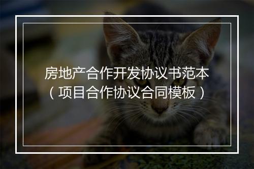 房地产合作开发协议书范本（项目合作协议合同模板）