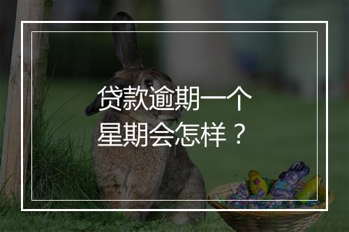 贷款逾期一个星期会怎样？