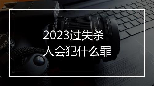 2023过失杀人会犯什么罪