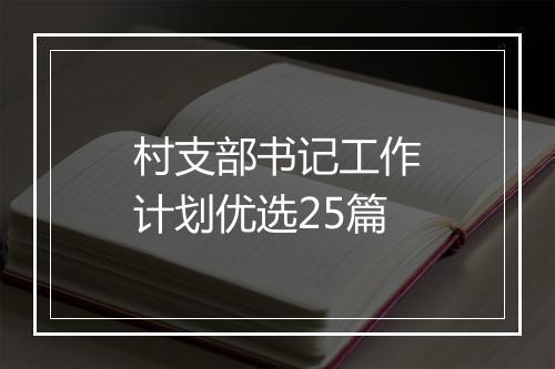 村支部书记工作计划优选25篇