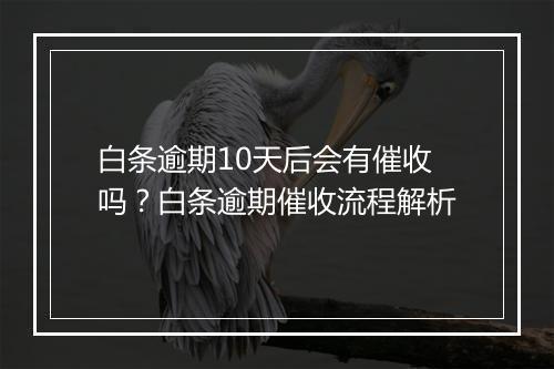 白条逾期10天后会有催收吗？白条逾期催收流程解析