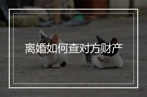 离婚如何查对方财产