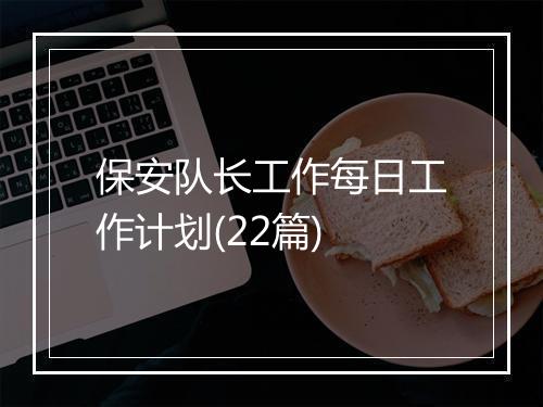 保安队长工作每日工作计划(22篇)