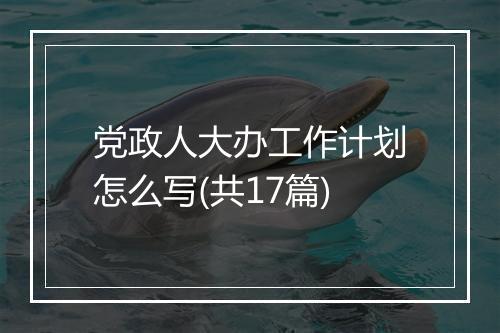 党政人大办工作计划怎么写(共17篇)
