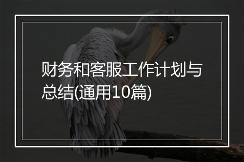 财务和客服工作计划与总结(通用10篇)