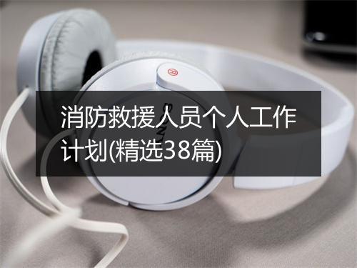 消防救援人员个人工作计划(精选38篇)