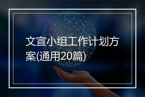 文宣小组工作计划方案(通用20篇)