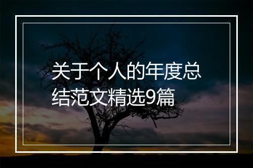 关于个人的年度总结范文精选9篇