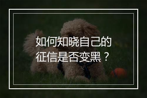如何知晓自己的征信是否变黑？