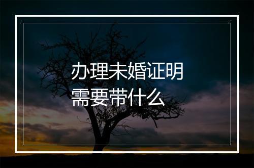 办理未婚证明需要带什么