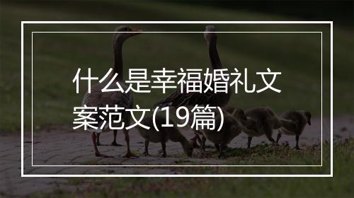 什么是幸福婚礼文案范文(19篇)