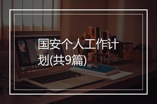 国安个人工作计划(共9篇)