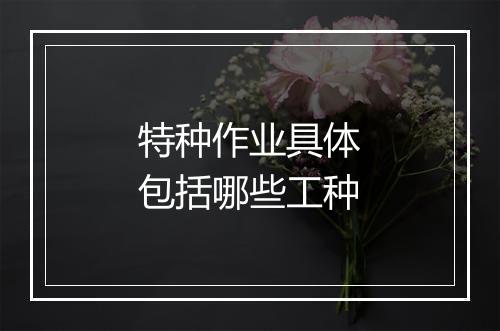 特种作业具体包括哪些工种