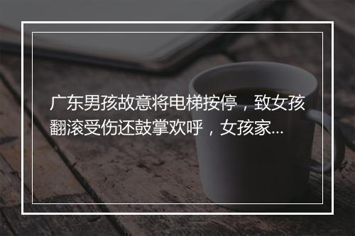 广东男孩故意将电梯按停，致女孩翻滚受伤还鼓掌欢呼，女孩家属该如何维权？