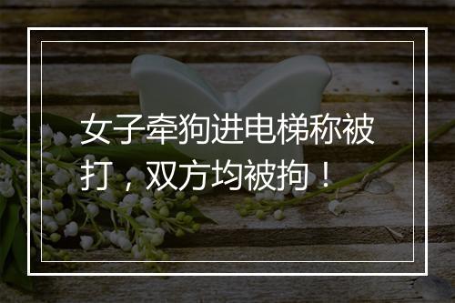 女子牵狗进电梯称被打，双方均被拘！
